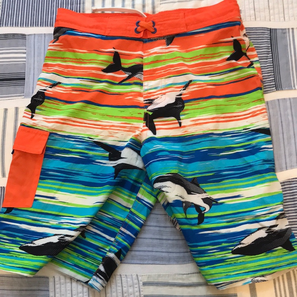 Whale shorts